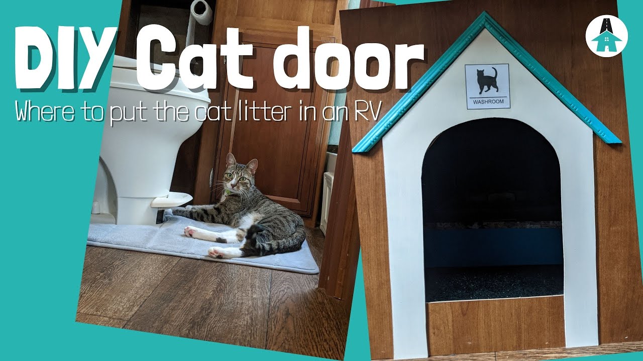 Where to put the cat litter in an RV? Home A Roam