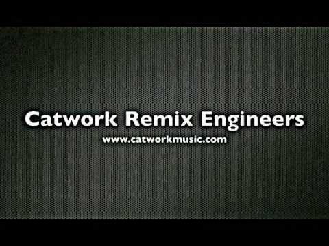 Catwork Remiix Engineers Ft Amari - Never Told