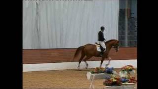 preview picture of video 'Bon Balou - free & ridden jumping - 4 yrs old'