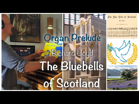 🕊 Bluebells for PEACE 💙💛  | Celtic Organ Prelude by Richard Lloyd | For peace and humanity