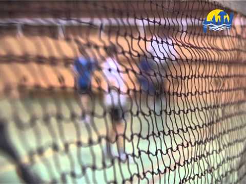 Sporthírek (2013. március.08.)