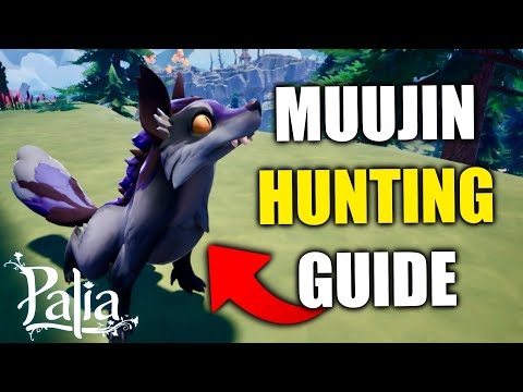 New Creature in Palia, How to hunt the Muujin