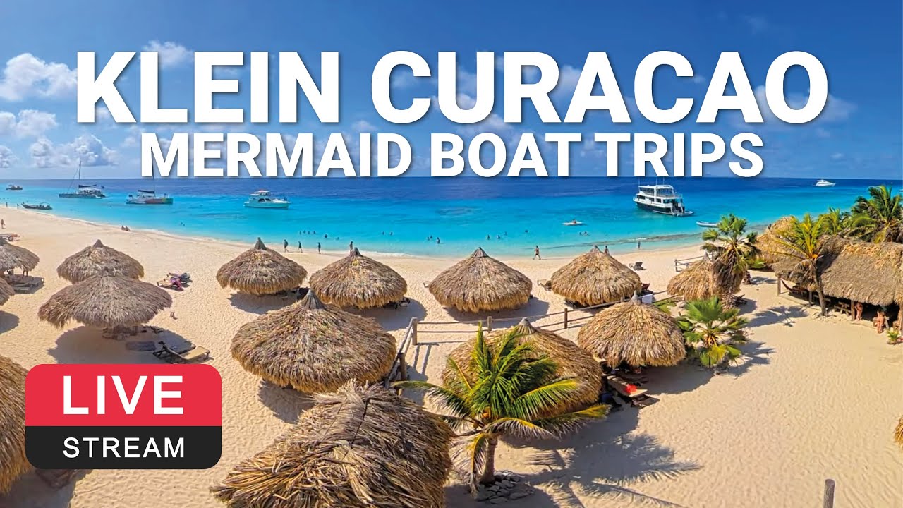 Klein Curaçao | Mermaid Boat Trips 🌴💦☀️ LIVE CAM