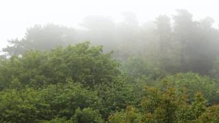 preview picture of video 'Basque country fog near San Sebastian Donostia'