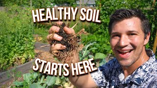 How We Keep the Soil Healthy In Our Organic Vegetable Garden