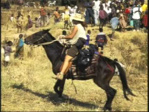 FARASI " von Horst Hausleitner