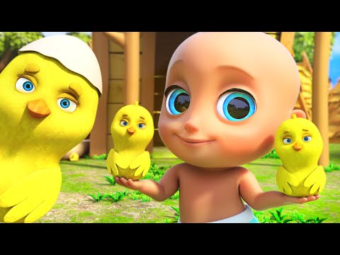🐤🐥Los Pollitos Dicen Pio Pio + ChuChuWa - Canciones Infantiles para niños