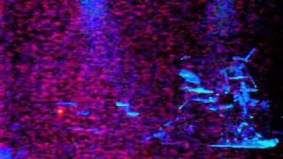 The Wombats - How I Miss Sally Bray