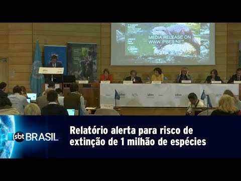 Relatório alerta para risco de extinção de 1 milhão de espécies | SBT Brasil (06/05/19)