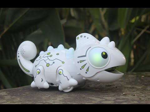 Retractable Tongue 2.4G RC Chameleon  | TigerSniff