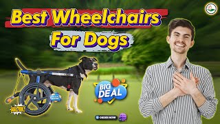 Don't Miss Out on These Amazing Dog Wheelchair Options!