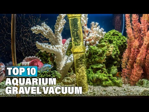 Best Aquarium Gravel Vacuums in 2025 (Top 10 Picks)