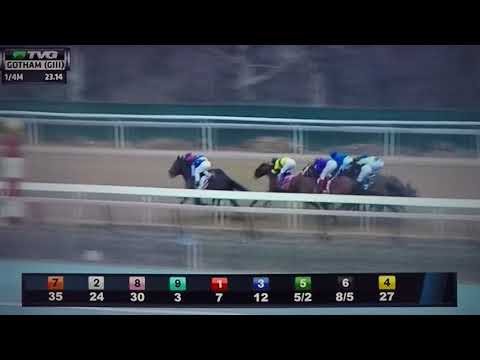 GOTHAM (G 3) STAKES 3/10/18 - ENTICED !!
