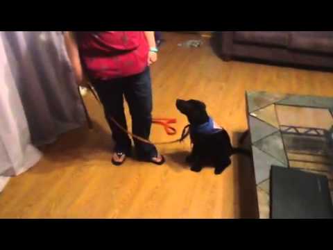 Ariadne Down Training