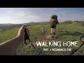Walking Home Part 2 - TRAILER