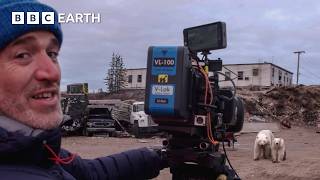 This is the World's Polar-Bear Capital | Operation Arctic | The Travel Edit