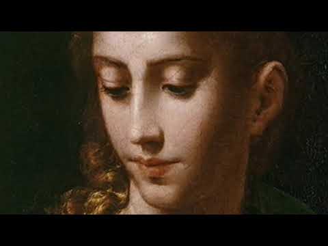 Two female portraits from the Royal Collection: a Parmigianino and an Andrea Del Sarto .