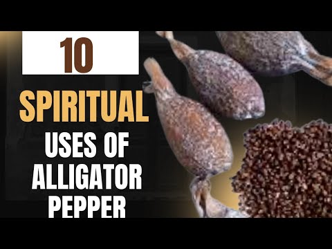 10 usi spirituali profondi del pepe di coccodrillo che devi conoscere