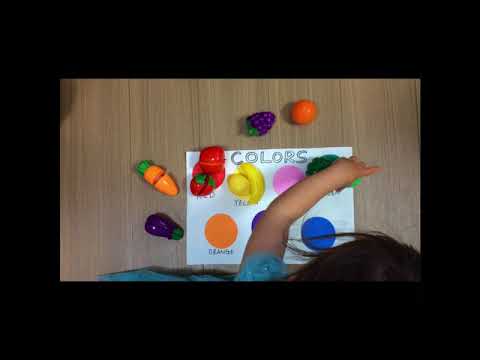 Study Cubby - The Color Song