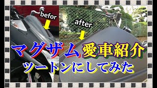 【マグザム】愛車紹介　～塗装とリアキャリア自作～