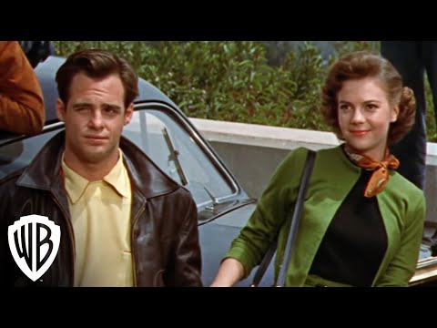 James Dean Ultimate Collector's Edition | Rebel Without a Cause - Tire | Warner Bros. Entertainment