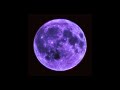 Guru Randhawa - Moon Rise ( Sped up + Reverb )