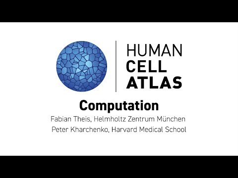 Hinxton 2018 - Computation