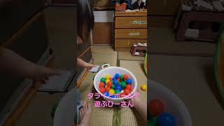 タライとボールで遊ぶひーさん