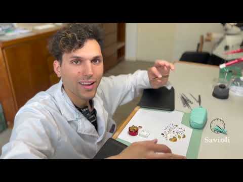 Service Omega Speed pt.1