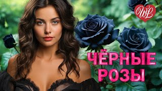 ЧЁРНЫЕ РОЗЫ ♫ РУССКИЙ РЭП ♫ РУССКАЯ ХИП-ХОП МУЗЫКА ♫ RUSSIAN RAP ♫ RUSSISCHER RAP MUSIK WLV