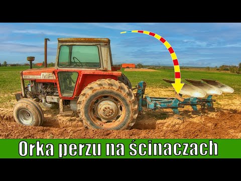 Orka perzu na ścinaczach