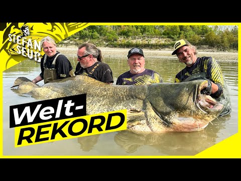 WORLD RECORD CATFISH 281cm | World Record Catfish 9.23 feet | The fish of a lifetime!!