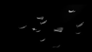 Beautiful (Acoustic) - Julian Lennon 'Everything Changes' The Videos