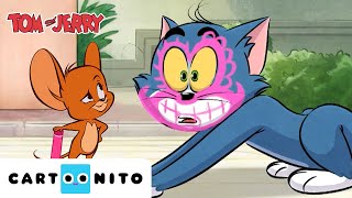 Download lagu Creative Fun with Tom & Jerry Playlist | Tom and Jerry | Cartoonito mp3