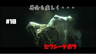 【ホラー】録画ミスには気をつけよう。『BIOHAZARD６』実況#10