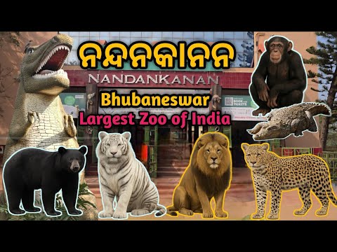 Nandankanan Bhubaneswar | Nandankanan Zoo | Nandankanan Zoological Park | 2nd Largest Zoo of India
