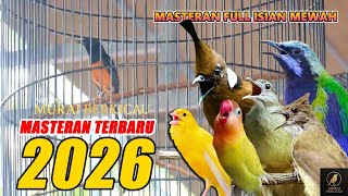 Download lagu MASTERAN MURAI BATU FULL ISIAN TEMBAKAN KASAR SUARA JERNIH ‼️ mp3