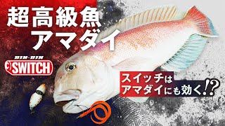 Стремитесь к высококачественной рыбе Red sea bream с BINBIN Switch! ! ｜USHIO Фунасуги DAIGO SUGIYAMA Исикава Фумина