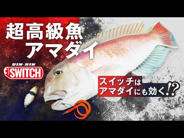 【ビンビンスイッチ】で高級魚アマダイを狙う！！｜USHIO船 杉山代悟　石川文菜動画