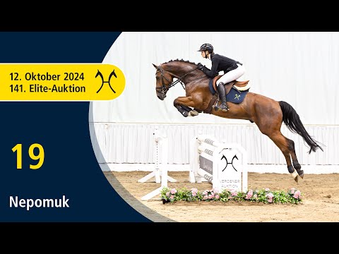 No. 19 Nepomuk by Nartago - Stand up | 141. Verden Elite-Auction on October, 12th