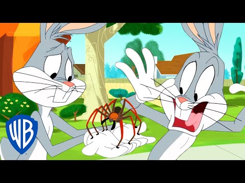 Camaleon Mi Rango - Luney Tunes