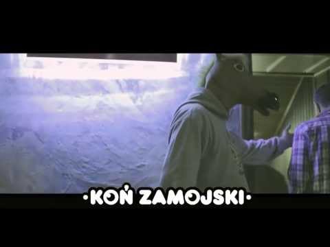 WIZJA LOKALNA: ZAMOŚĆ (prod. LAP)