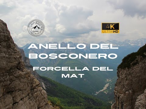 Anello Bosconero