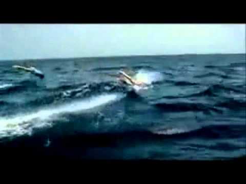 Roro - Prodaljavam 2011