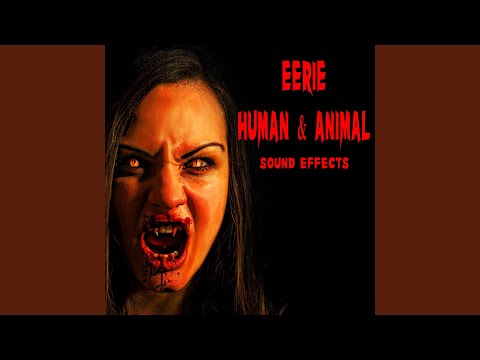 Reversed Eerie Reverb Crowd Cheer, With Drum and Low Rumble