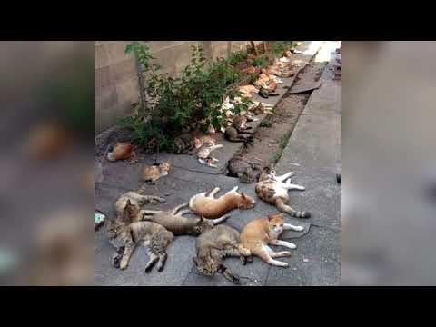 tightlxxp - (ldfmommjkynm)