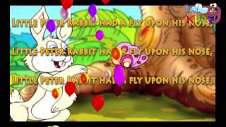 Little Peter Rabbit had a fly upon his nose || Pre-school rhymes for kidz ||