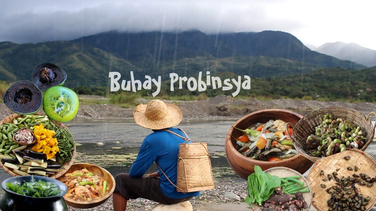 Full Video: Slow Life in the Province Find and Cook food | Kabagis