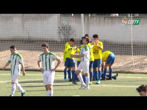 CCFTV: Resumen LN CCF - Punta del Caimán