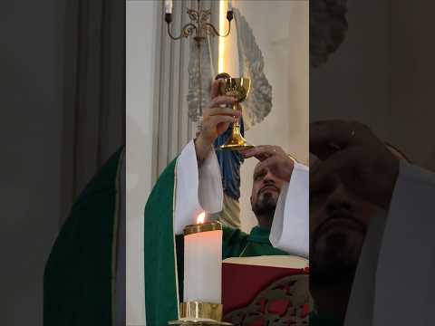 Podes Reinar Senhor Jesus  (Padre Diego) ...#missa  #eucaristia